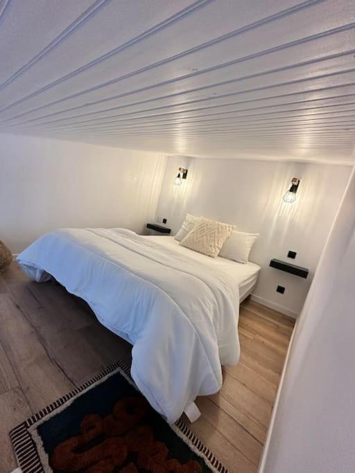 Duplex Lumineux Apartment Нант Екстериор снимка